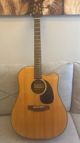 Violão takamine