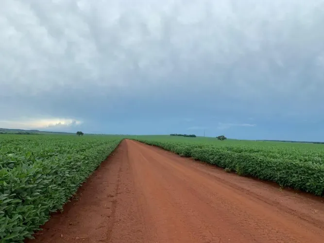 Fazenda De 1° qualidade 2.633hec plantando 2.100hec 270 milhões no MS.