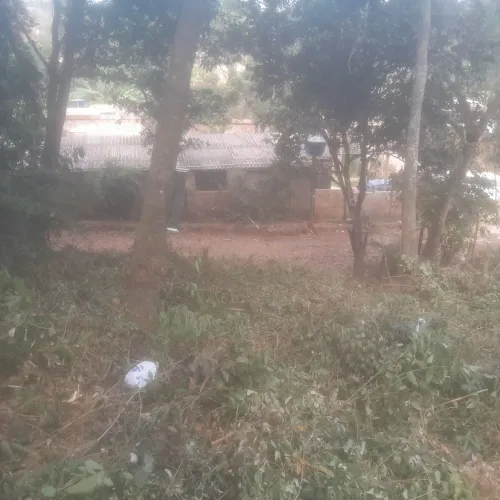 Lotes de 300 mts perto do asfalto