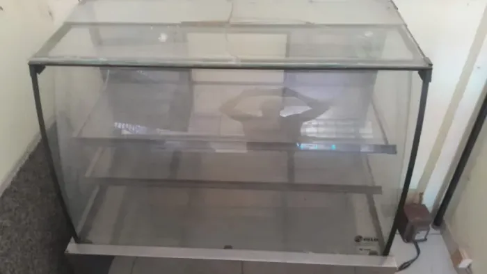 Balcão vitrine Conservado