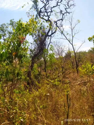 TERRENO À VENDA EM PIRENÓPOLIS -GO ESCRITURADO!
