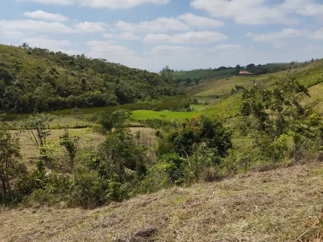 CHÁCARA FORMADA COM POMAR DE PITAYA EM LORENA-SP