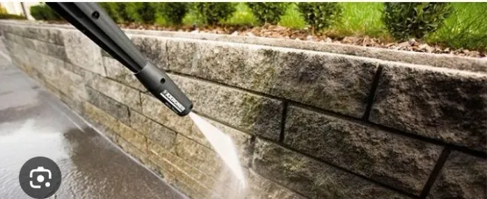 Limpeza de muro e calçadas  e germinado 