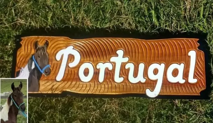 Placa para baia de cavalo