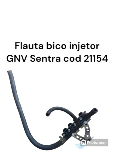 Flauta Dos Bicos Injetor Gnv Nissan Sentra Cod 21154