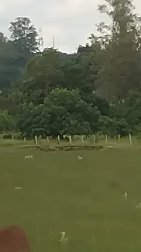 Oportunidade única! Sítio à venda em Cesário Lange-SP: 24.200m² de área. Venha conferir!