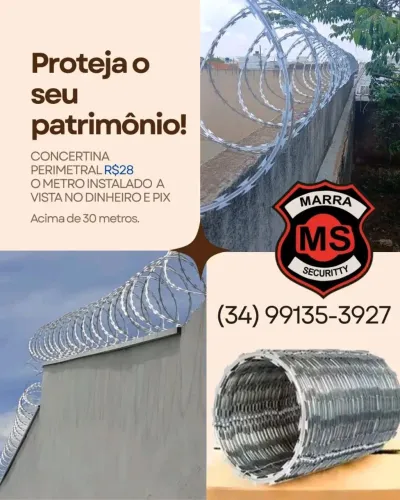 Concertina Perimetral