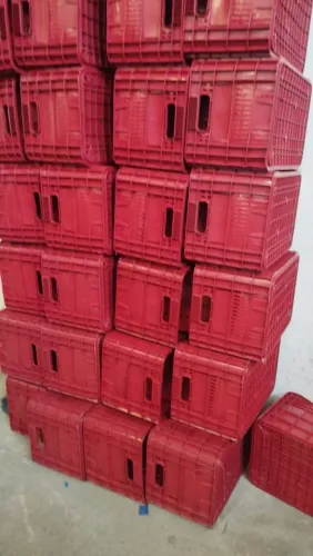 Caixa de frutas 