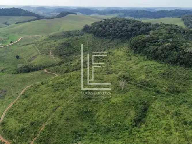 Fazenda de 60 hectares toda no pasto e cortada pelo Rio Una em Tamandaré-PE