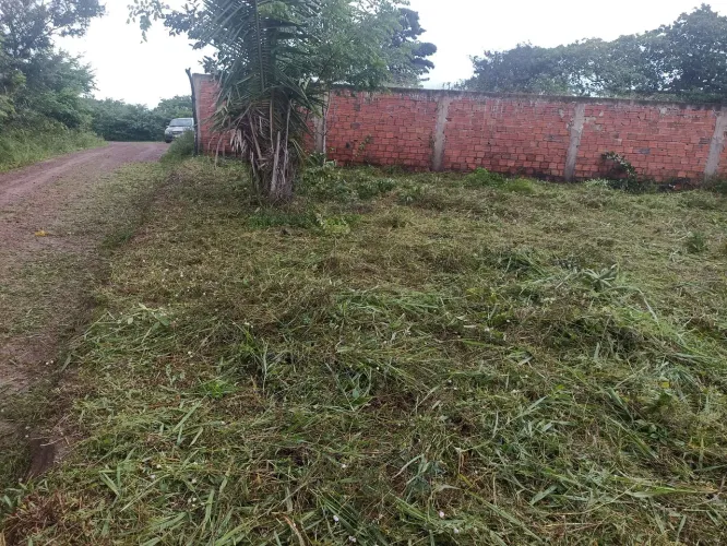 Ótimo terreno 12/38 bem localizado na vila nova republica plano com  um lado murado 