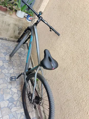 Bicicleta aro 29 ALFAMEQ