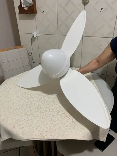 Ventilador de Teto Usado em Boas Condições