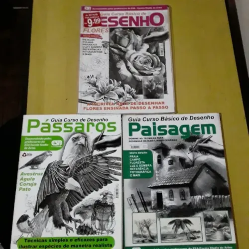 LOTE COM 3 REVISTAS GUIA CURSO BÁSICO DE DESENHO FLORES PÁSSAROS E PAISAGEM