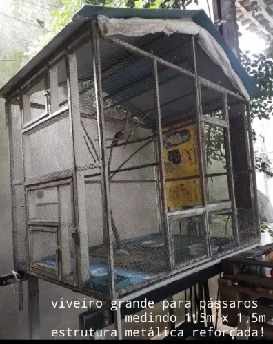 viveiro grande 1,5m x 1,5m de ferro