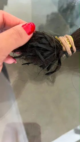 Cabelo
