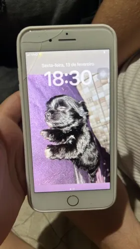 Vendo 8 plus em ótimo estado 500