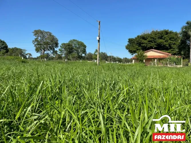 Chácara 9 Alqueires (43,56 Há) em Jussara - Goiás.
