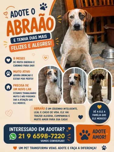 Adote com amor 