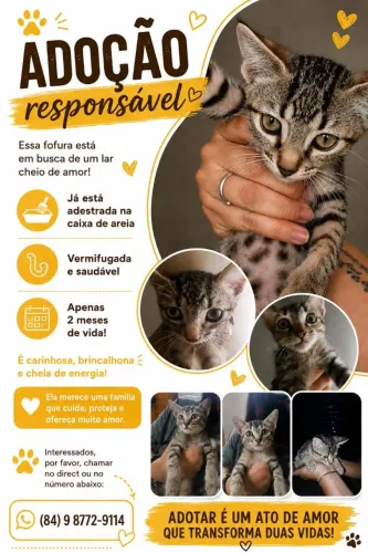 Adoção Responsável