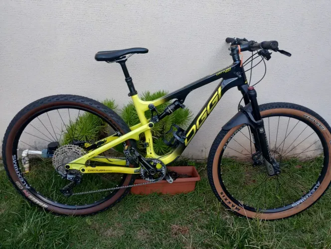 Montain bike oggi cattura sport