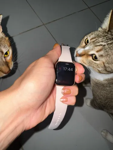 Apple Watch series 4