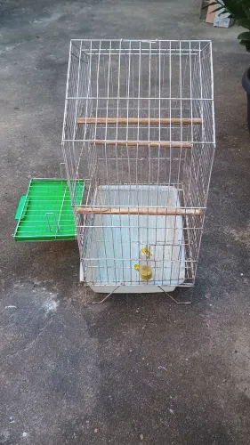 Gaiola para pássaros