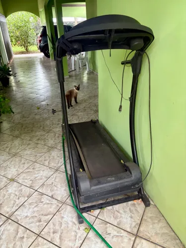 Esteira eletrônica