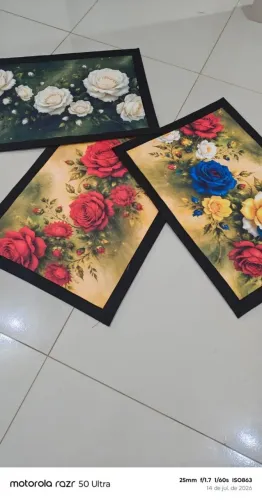 Tapetes antiderrapantes 70x50