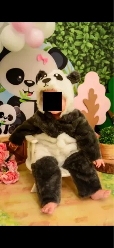 Fantasia urso panda mesversario