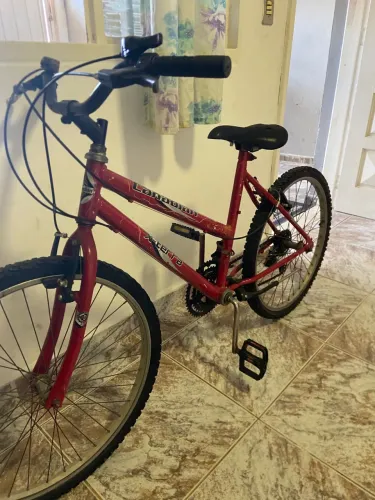 Bicicleta