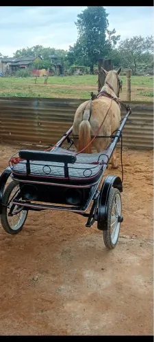 Vende-se égua com charrete mansa