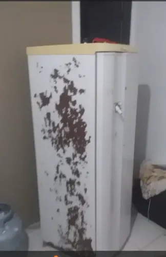 envelopamento plotagem adesivagem DE GELADEIRA