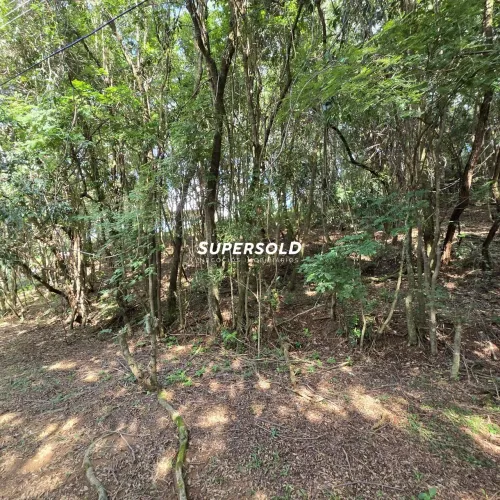 Colinas do Ermitage - Terreno à venda no Condomínio Colinas do Emirtage em Campinas/SP