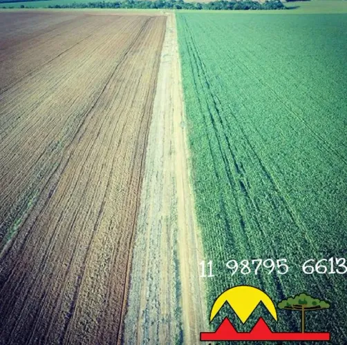 Arrendamento e venda de fazenda em Venceslau e Ribeirão do pinhal Paraná