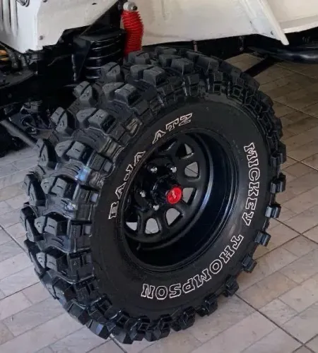 Jogo pneu TREPADOR RPM em carcaça MICKEY THOMPSON