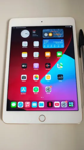 iPad Mini