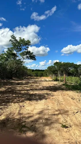 Chácaras de 1.000 m2 Próximo a Montes Claros