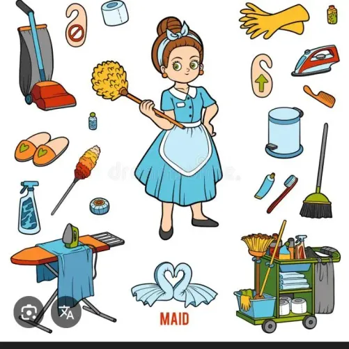 Ofereço meus serviços de doméstica e ajudante de cozinha 