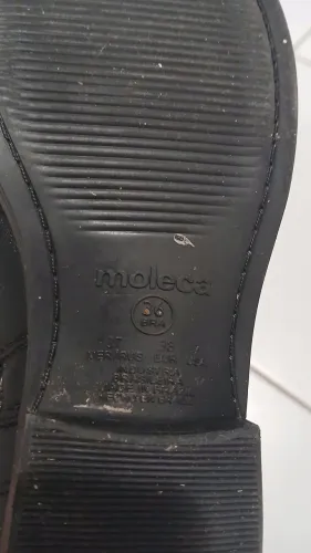 Bota