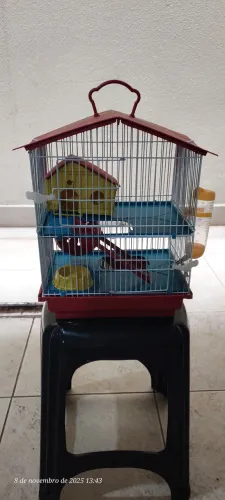 Gaiolas para Hamister