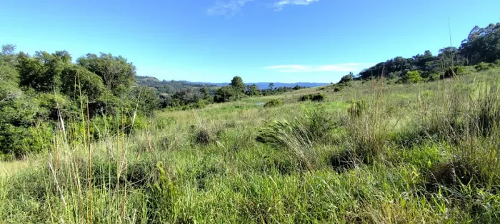 SITIO A VENDA EM ROLANTE - 12 HECTARES