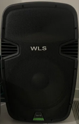 Caixa de som profissional WLS Gp15
