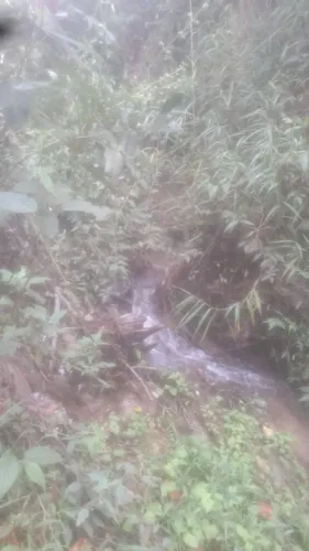 Chacaras rurais em Santa Terezinha