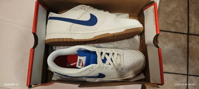 Nike Dunk Sb Tamanho 42