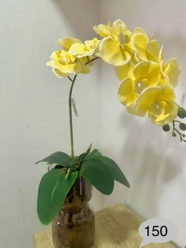 Arranjo de orquídeas luxo