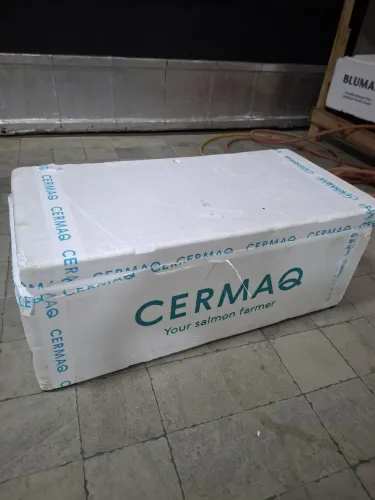 Caixa de Isopor Grande - Ótima! 20 reais 