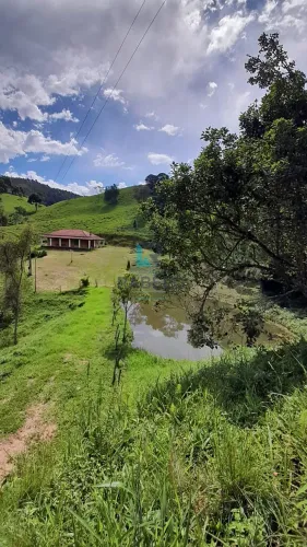 SÍTIO FORMADO EM DELFIM MOREIRA-MG