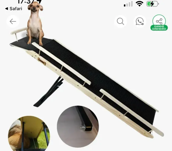 Rampa pet