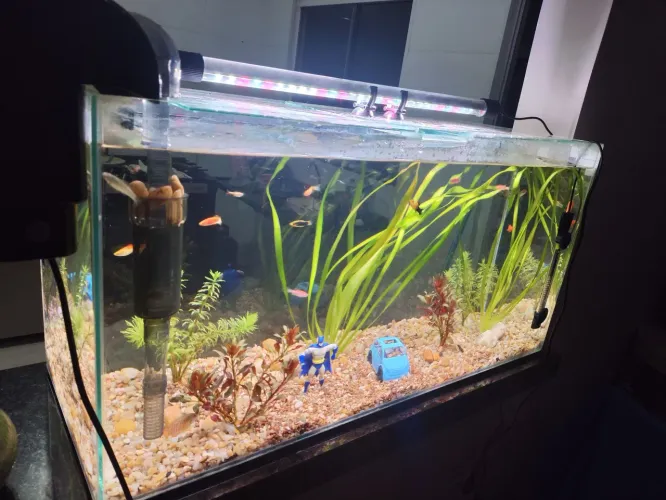 Aquário de 100 litros 