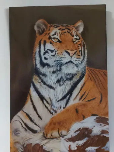 Pintura a óleo sobre tela 40x60, 500 reais 